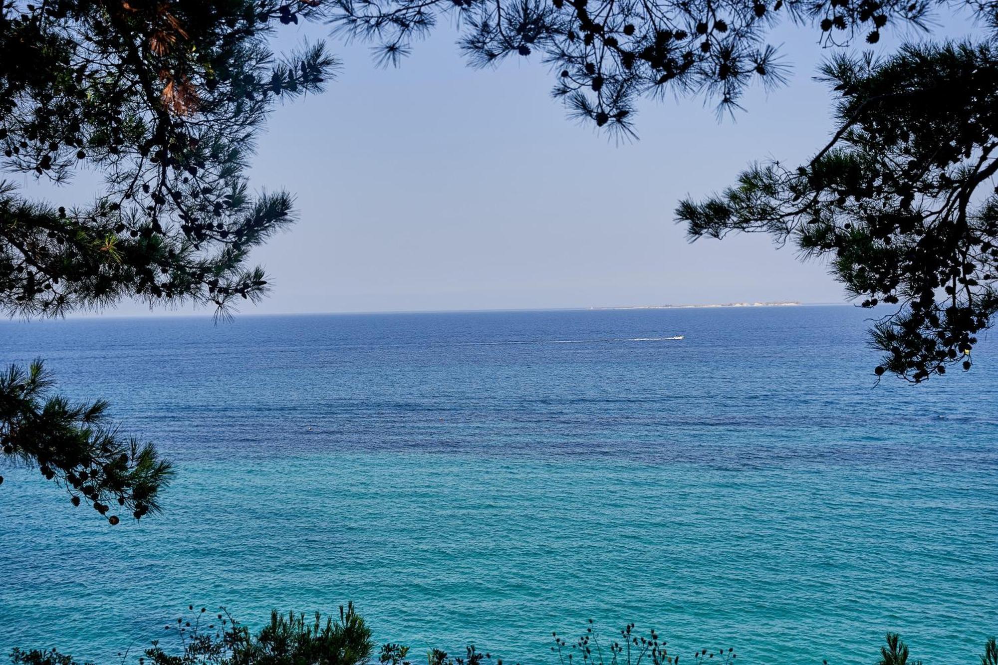 White Rocks Hotel Kefalonia Lassi  Esterno foto