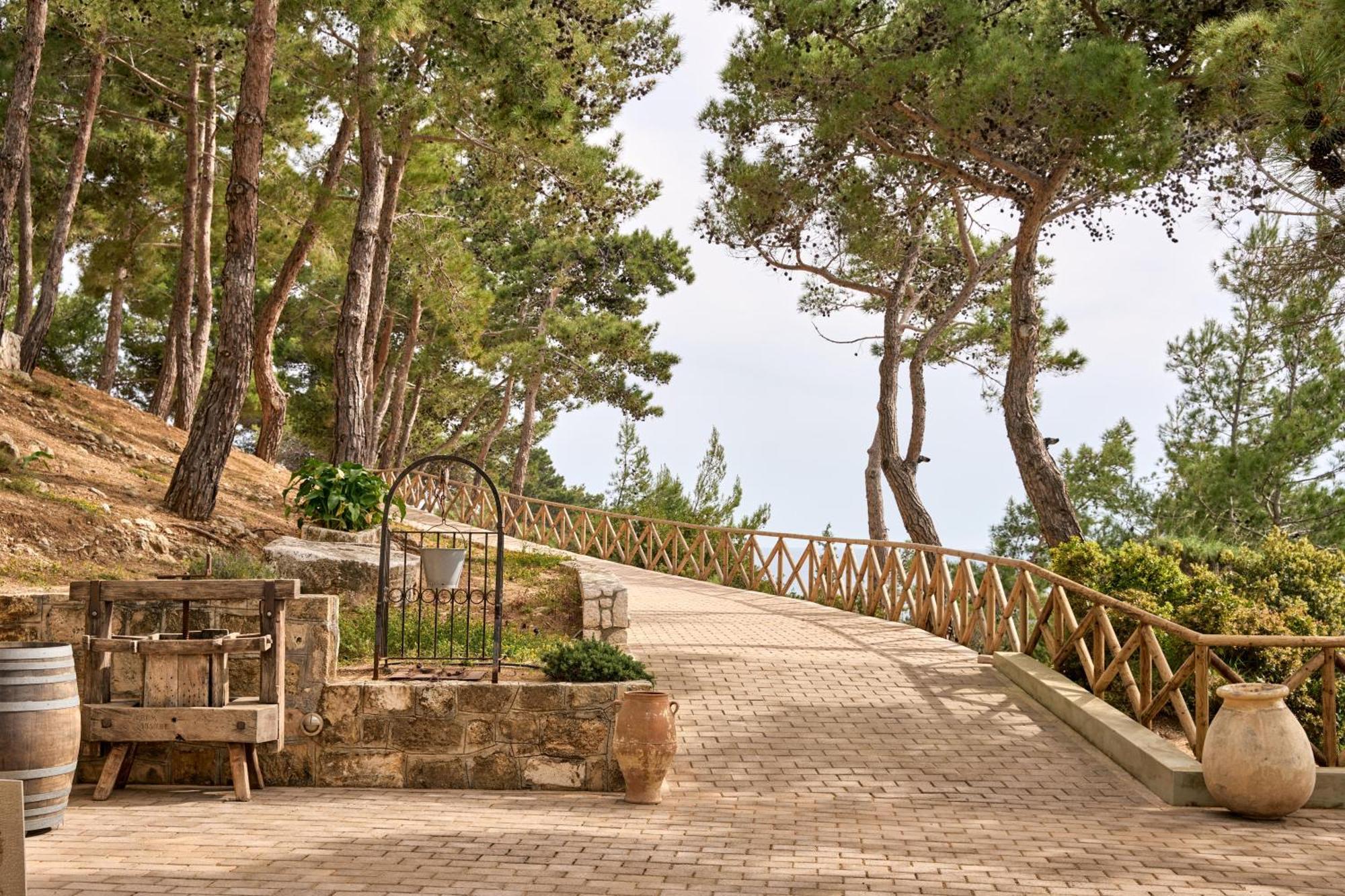 White Rocks Hotel Kefalonia Lassi  Esterno foto